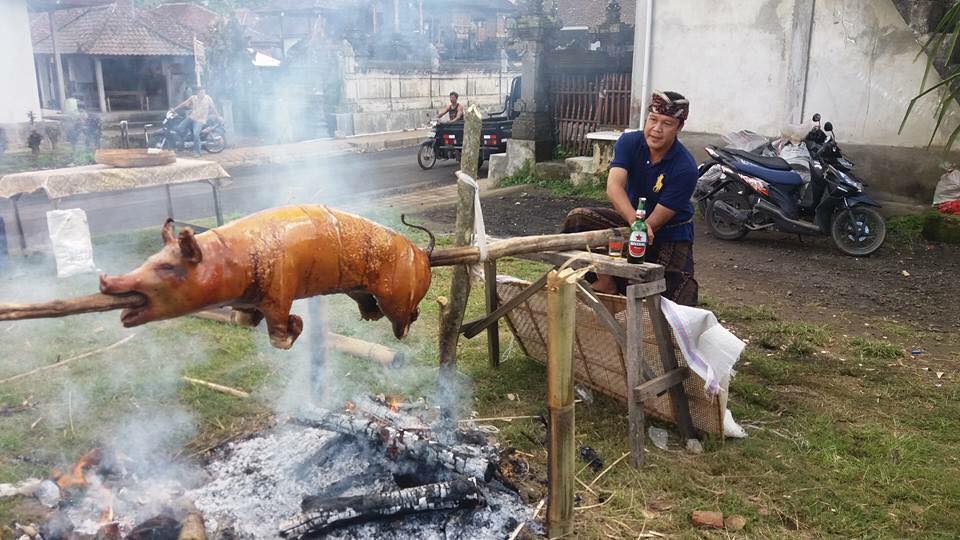 バリ島の定番 バビグリン 豚の丸焼き バリ島観光会社 ｓａｍａｄ ｂａｌｉ のワヤンちゃんによるバリ島レポートブログ