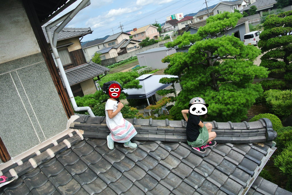 屋根の上で遊ぶ ９球入魂