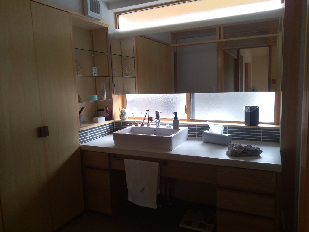 Web内覧会 ５ おしゃれすぎる洗面脱衣所 ９球入魂