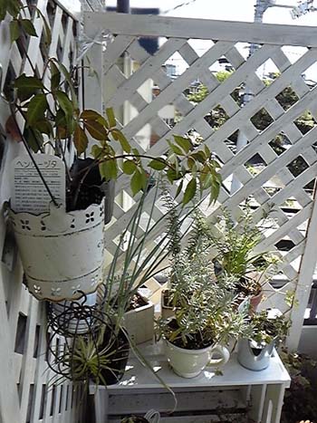 20100928-04
