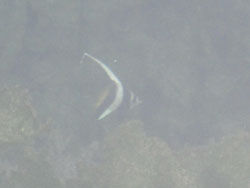 20100922-10