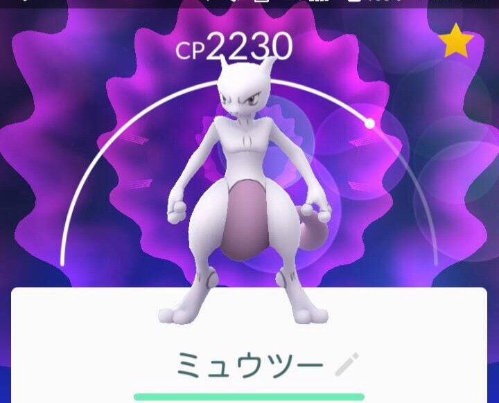 ツムツムするハムスター ポケモンgoの招待状 風船モコちゃんねる ツムツムするハムスター ポケモンgoの招待状 風船モコちゃんねる