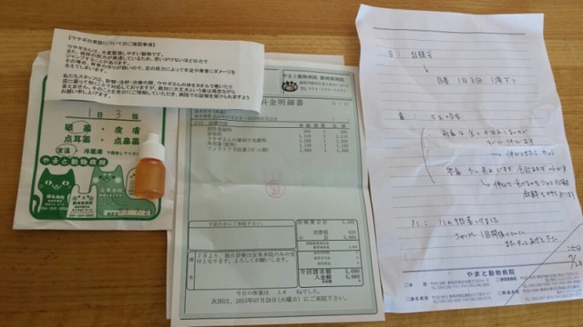 うさぎが結膜炎になりました 風船モコちゃんねる うさぎが結膜炎になりました 風船モコちゃんねる