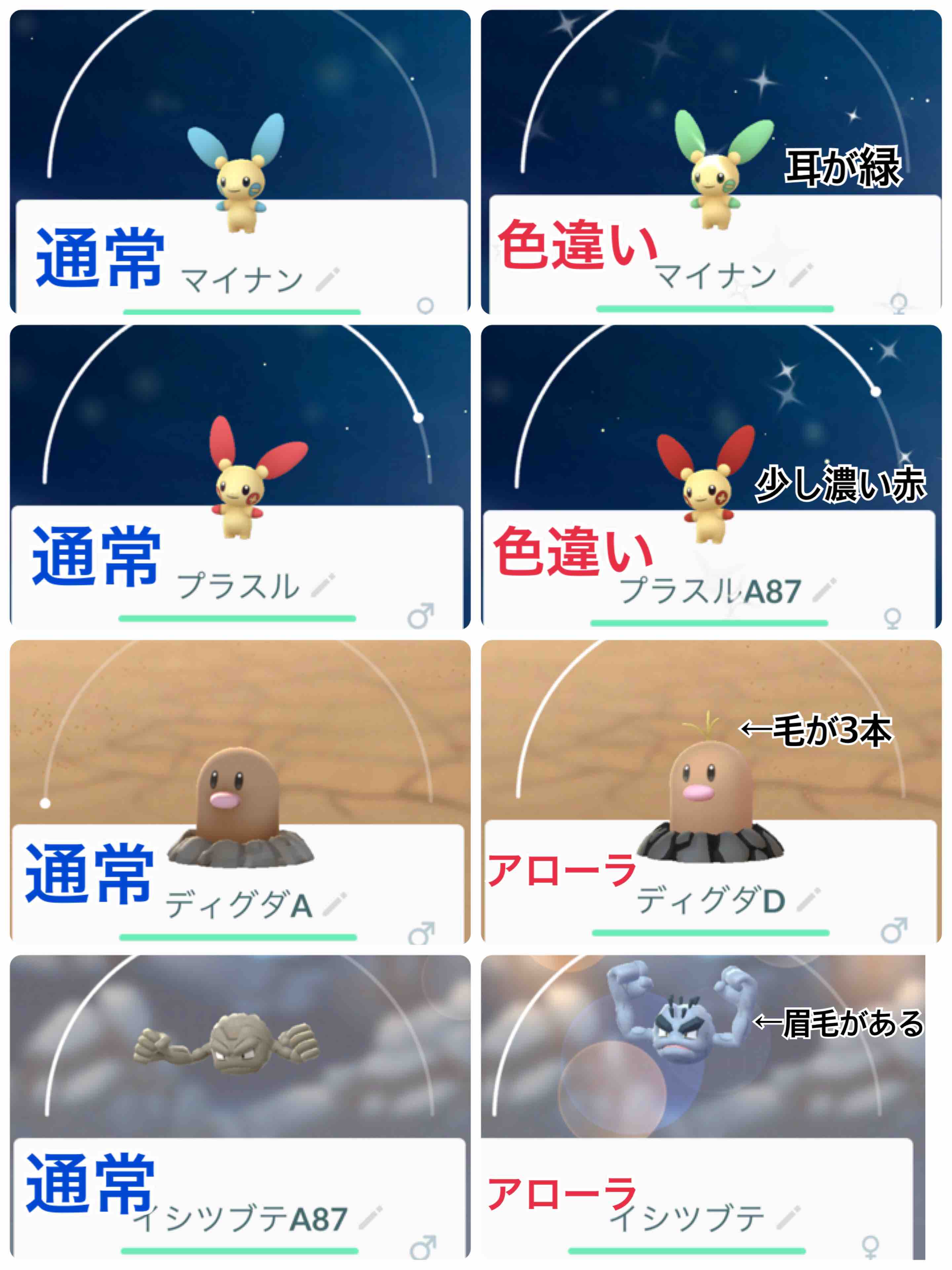 チンチラ大ちゃんのお話し 風船モコちゃんねる