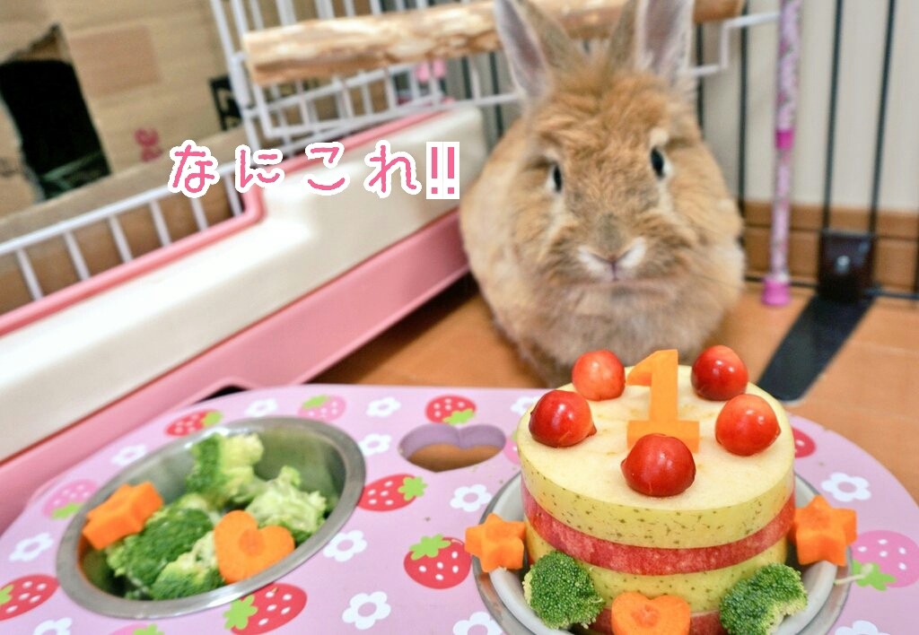 ムギちゃん１才誕生日ケーキ 風船モコちゃんねる