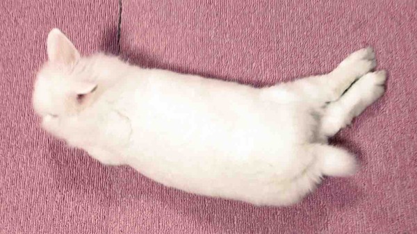 IMG_4001