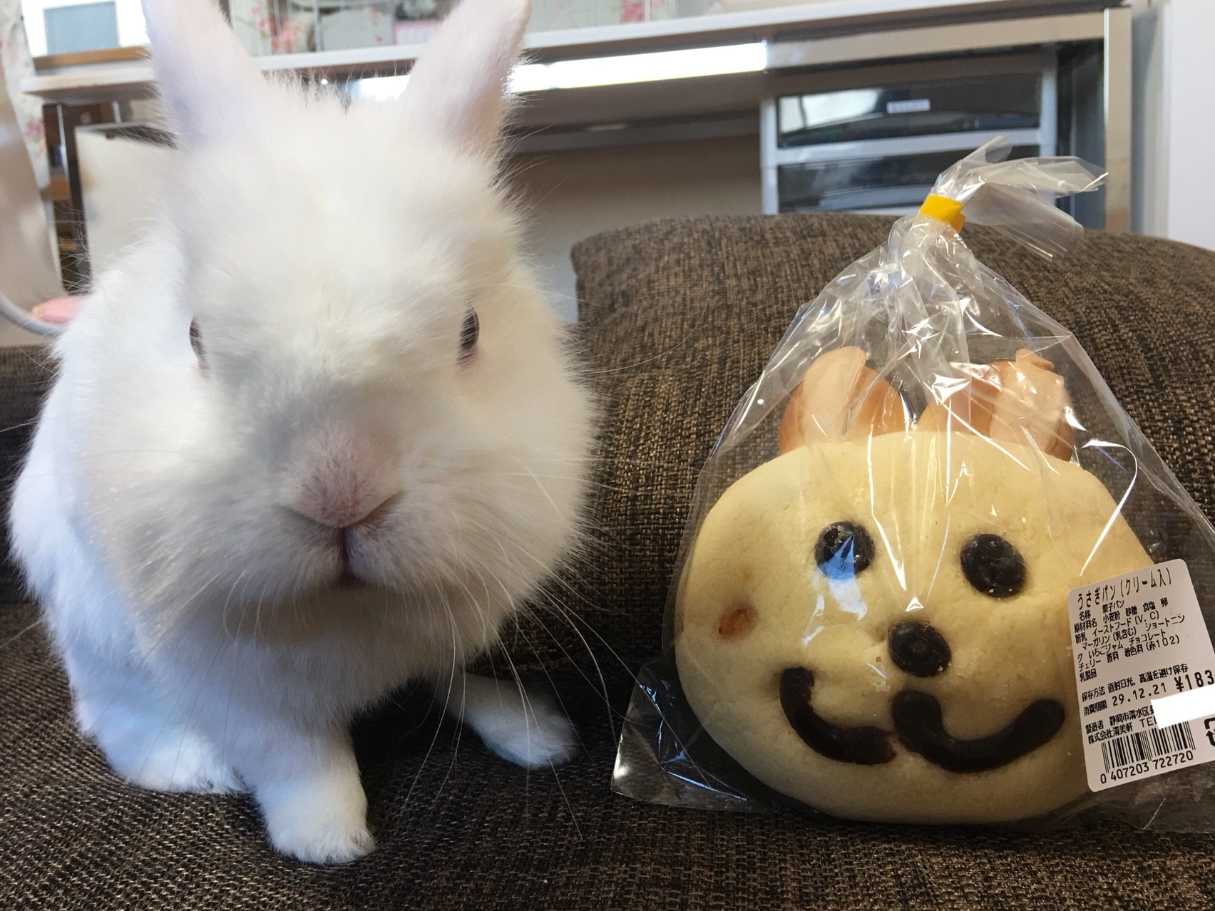割引購入 その他 モコちゃん12 Dairyuukou Naka