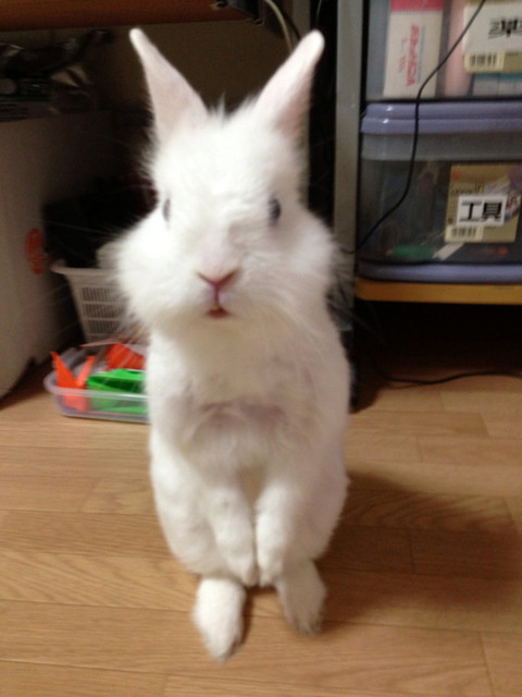 マテリアのブログ