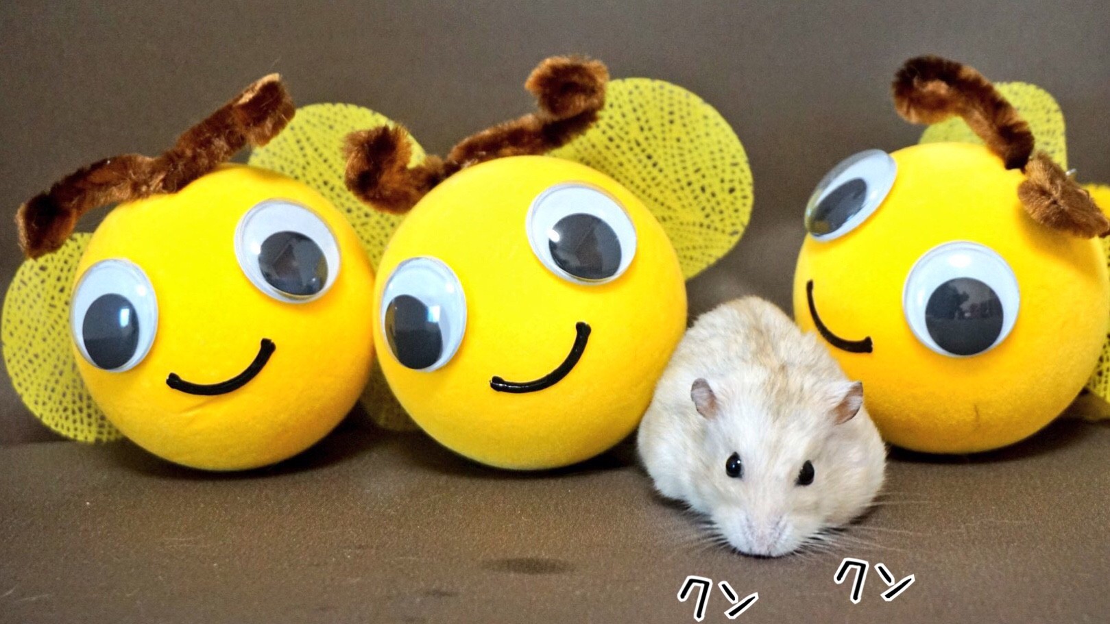 ハムスターの日 風船モコちゃんねる ハムスターの日 風船モコちゃんねる