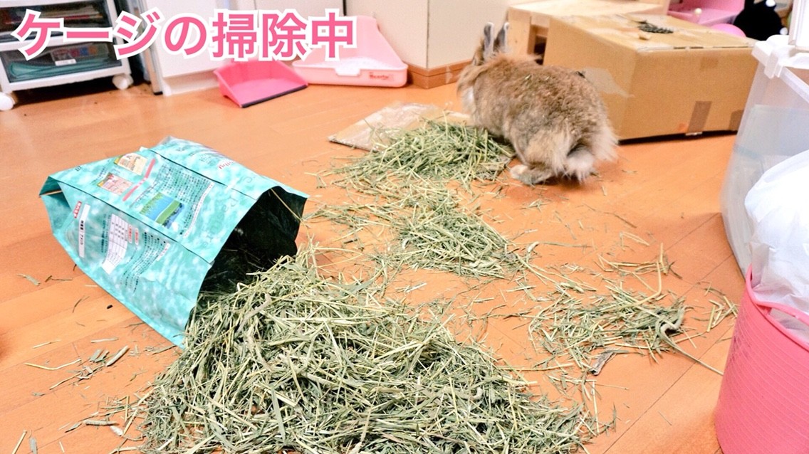 犯人は現場にもどる 風船モコちゃんねる