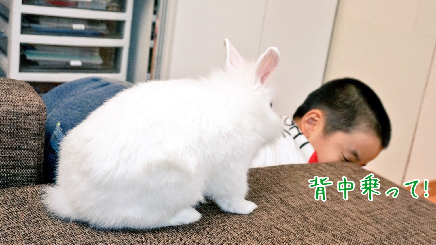 うさぎと気持ちが通じ合う仲 風船モコちゃんねる