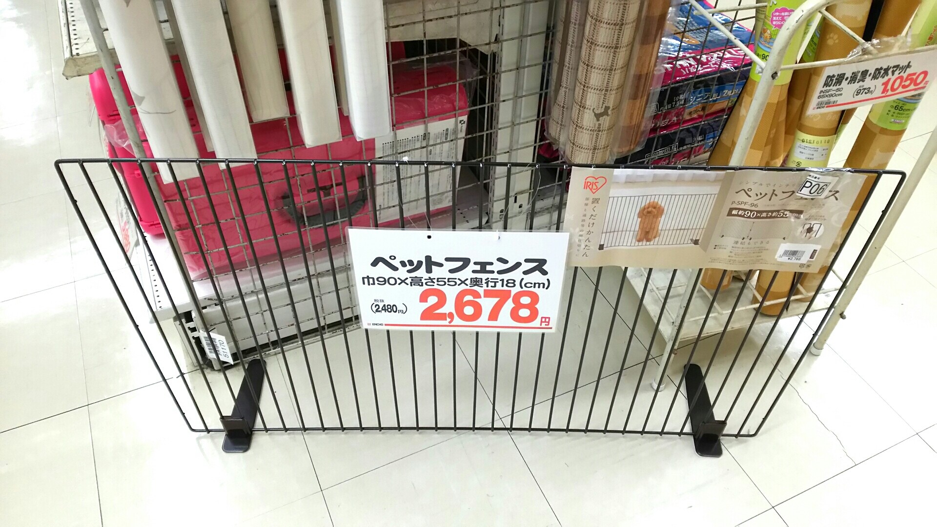 うさぎに犬用フェンスと猫用爪とぎを見せた 風船モコちゃんねる うさぎに犬用フェンスと猫用爪とぎを見せた 風船モコちゃんねる