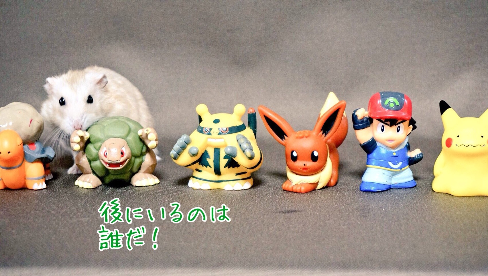 ポケモンゴローニャがやられた 風船モコちゃんねる ポケモンゴローニャがやられた 風船モコちゃんねる