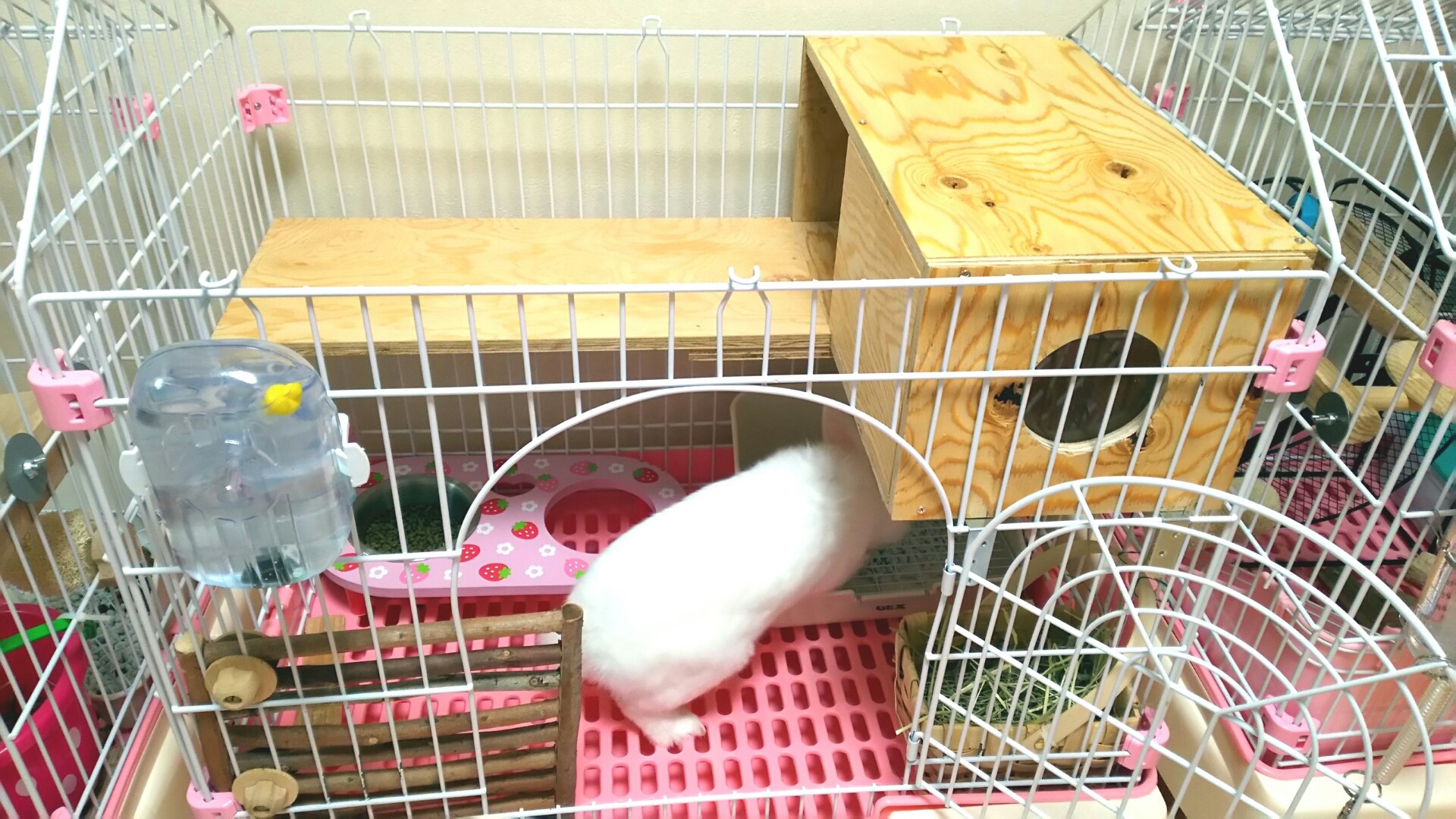 手作り 風船モコちゃんねる 手作り 風船モコちゃんねる