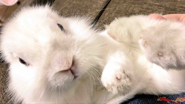 IMG_5592