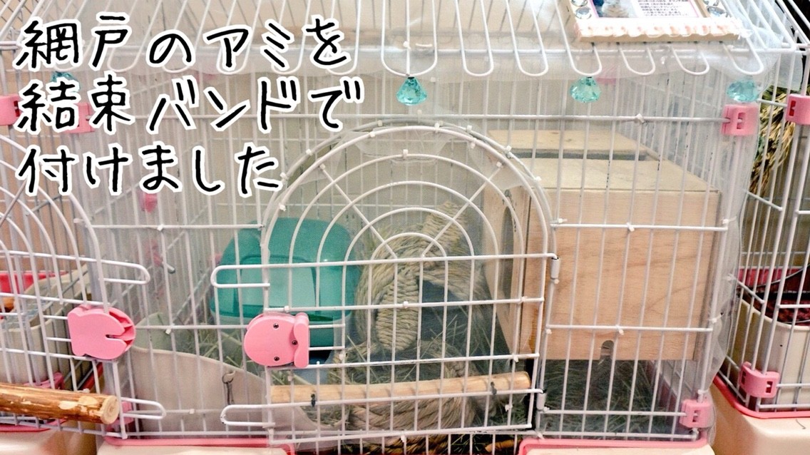 チンチラ赤ちゃん脱走防止対策 風船モコちゃんねる