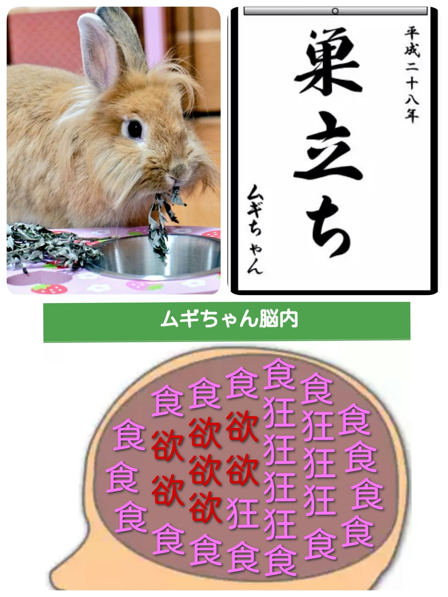 うそこメーカーで書き初め 風船モコちゃんねる うそこメーカーで書き初め 風船モコちゃんねる