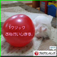 マテリアのブログ