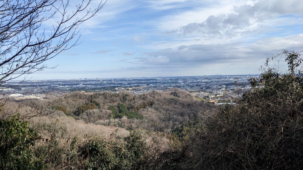 PXL_20230121_034519511