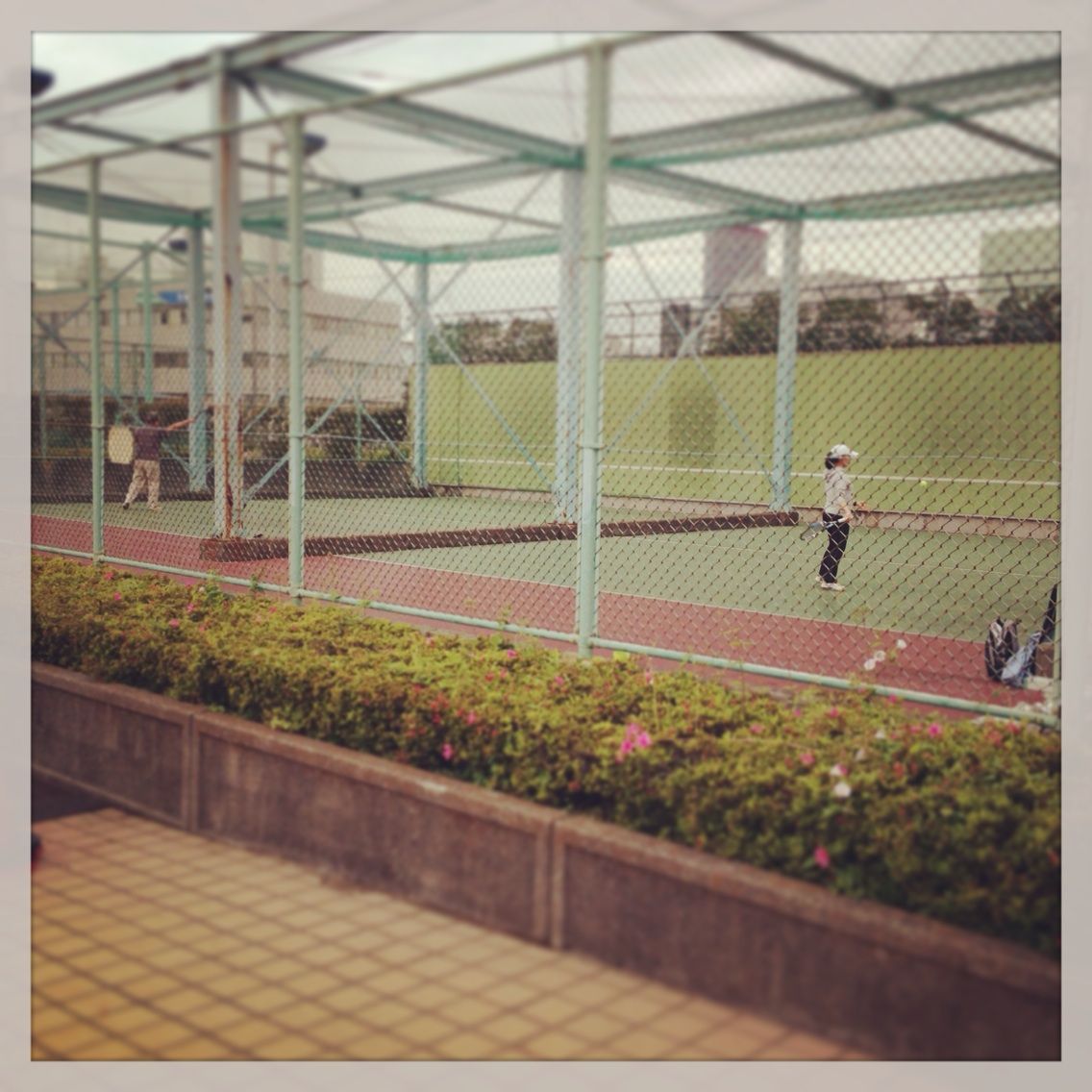 芝浦中央公園運動場 テニス女子のオシャレ泥棒