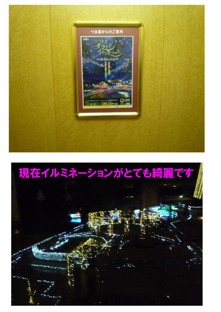 イメージ 2