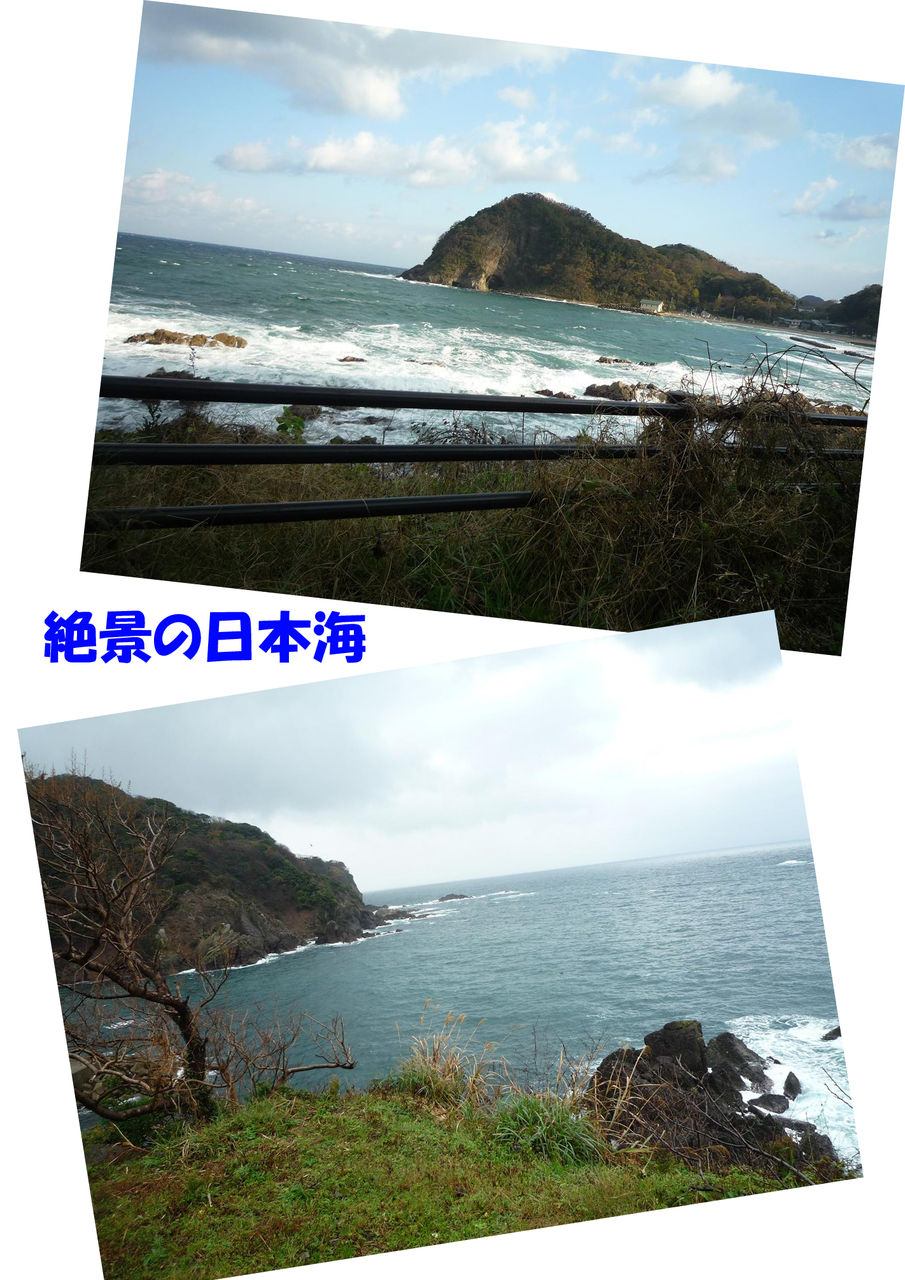 イメージ 2