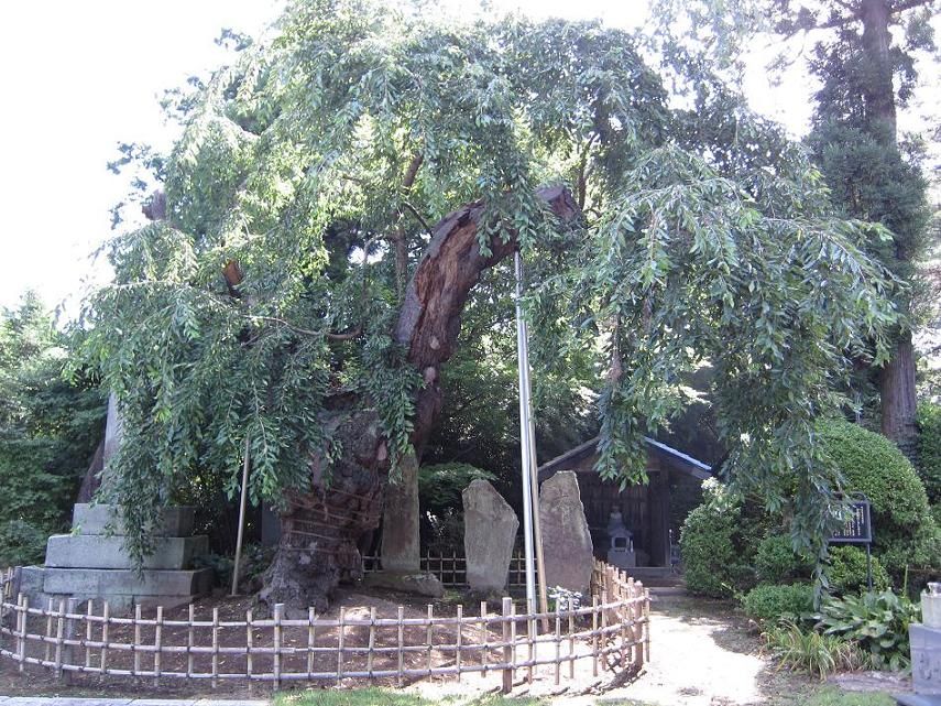 ����λ޿��