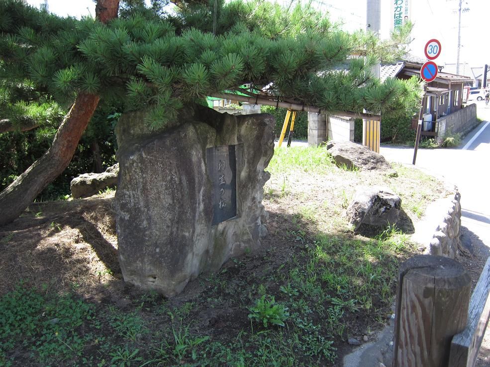 �����ξ�?