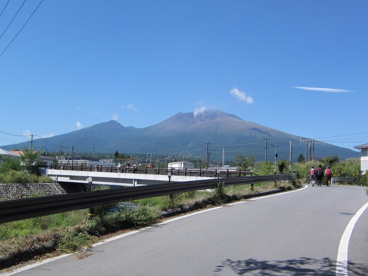 �ڰ����������ֻ�