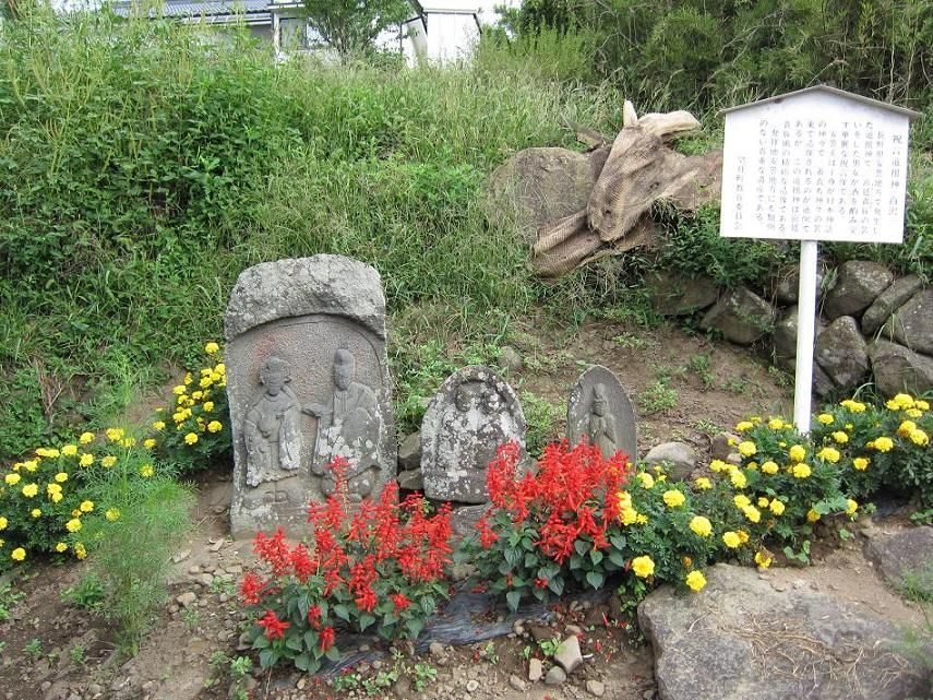 ɴ���ν˸�ƻ�Ŀ�