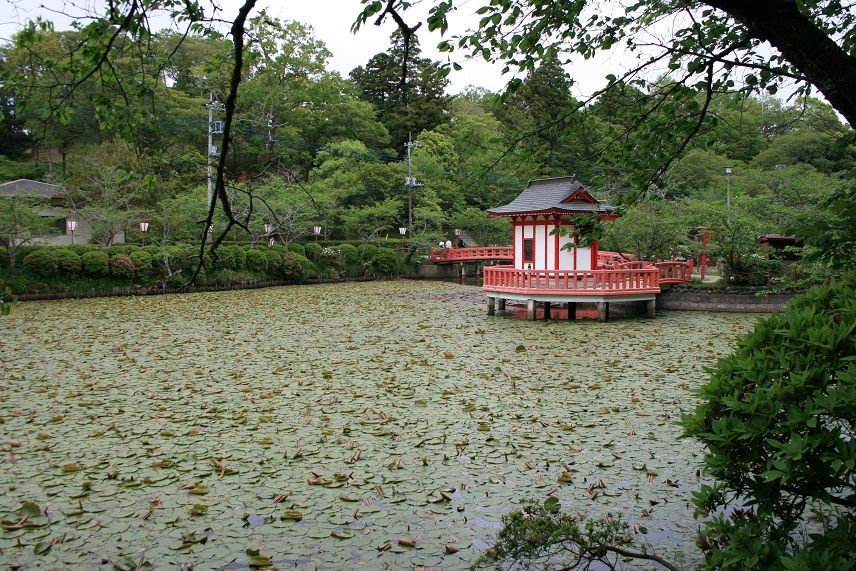 茂原 牡丹園 : BamboograssWoodの気ままなブログ