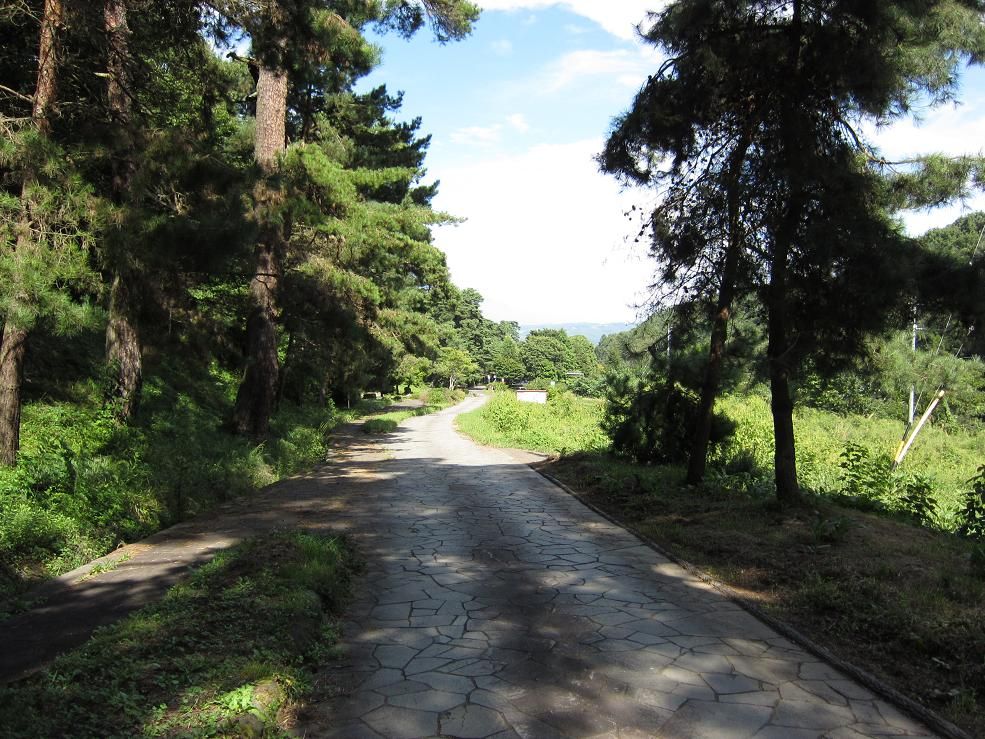 �޼�ƽ�ξ�����?