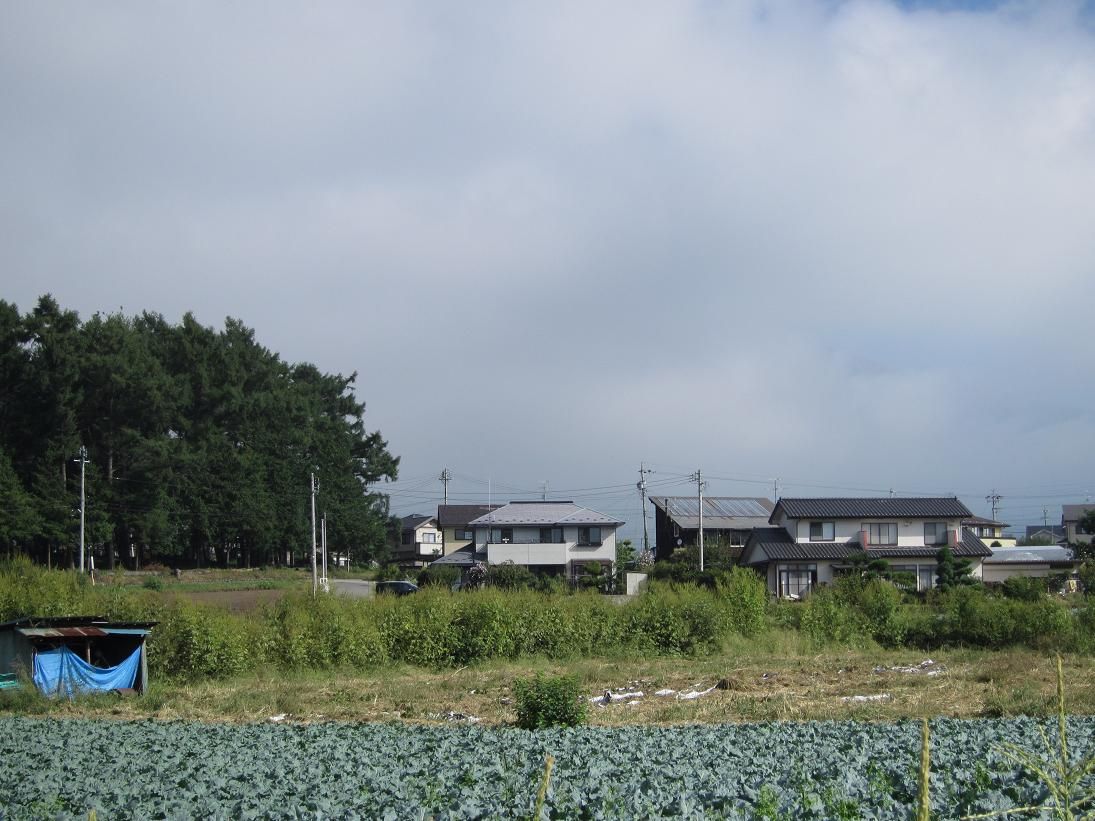 ���İ桦�����Ϸ�