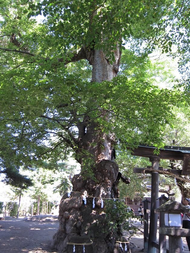 ���ȿ��Ҥ���ݰ