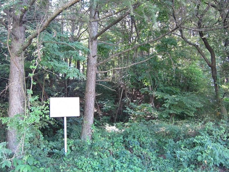 ������ü��Τ��