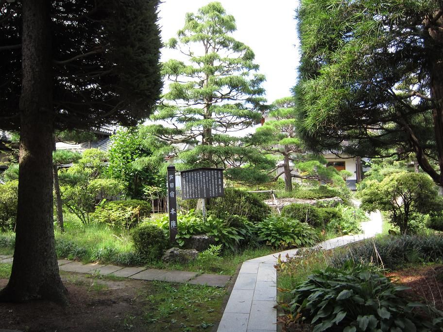 ���Ľ��ܿؤ���