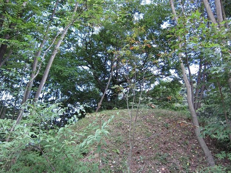 ��ʬ�ΰ�Τ��