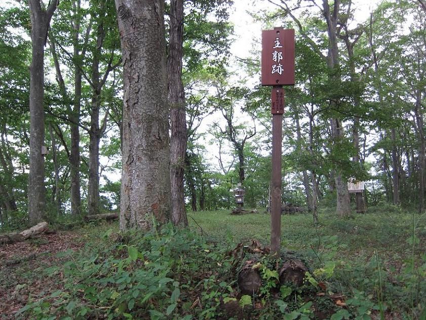 ˾�������