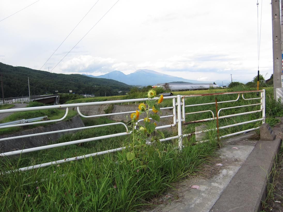 ɴ�����������ֻ�