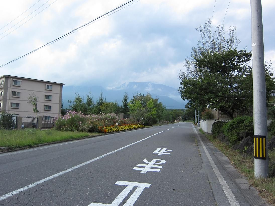 ���š���ʬ