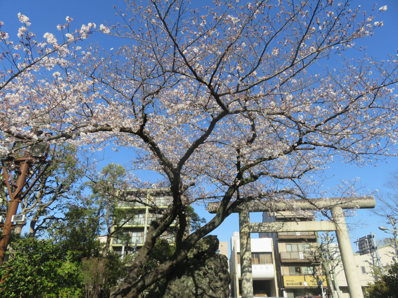 IMG_6940ÀéÍÕ¿À¼Ò¤Îºù
