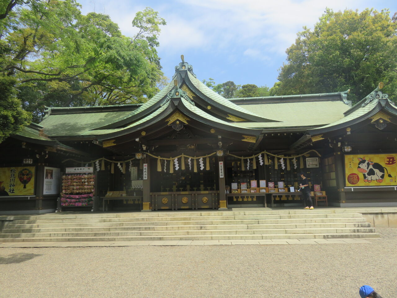 花見川ウオーキング bamboograsswoodの気ままなブログ 花見川ウオーキング bamboograsswoodの気ままなブログ