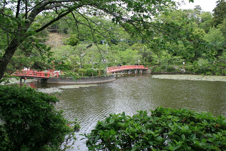 茂原 牡丹園 : BamboograssWoodの気ままなブログ