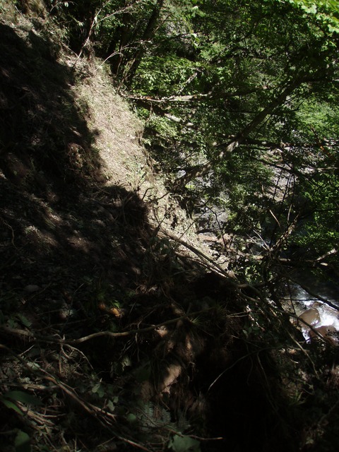 P7175695