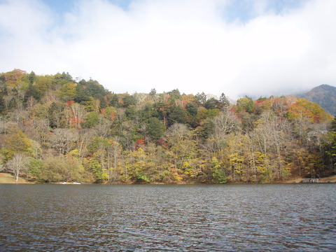 PA215632