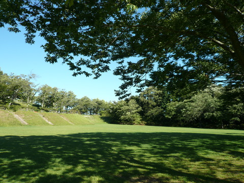 P1020329