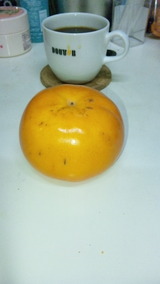 6a91c7f0.jpg