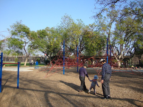 DSC07900