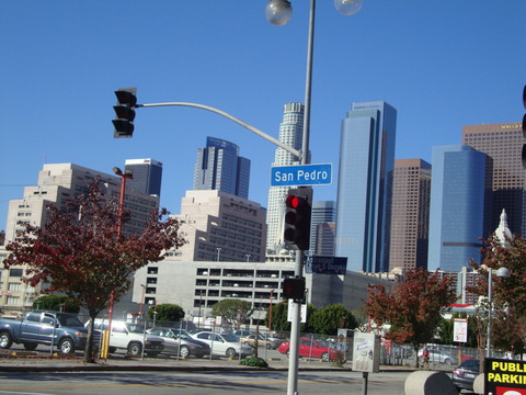 DSC07243