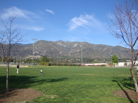 DSC08455